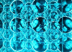 Giocando con la scienza 8