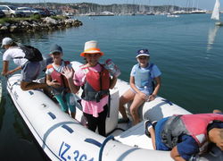Vela 8