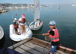 Vela 8