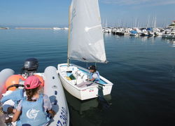 Vela 8