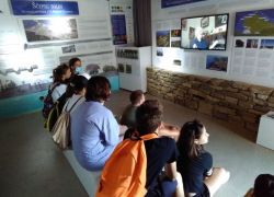 Erasmus 12
