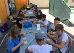 Erasmus 5