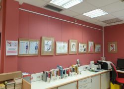 Mostra 1