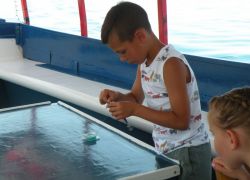 Visita Pirano 3