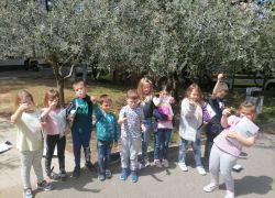 Erbario 2