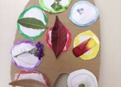Erbario 8