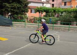 Patentino 8